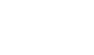 Peak Companies Logo White Vertical